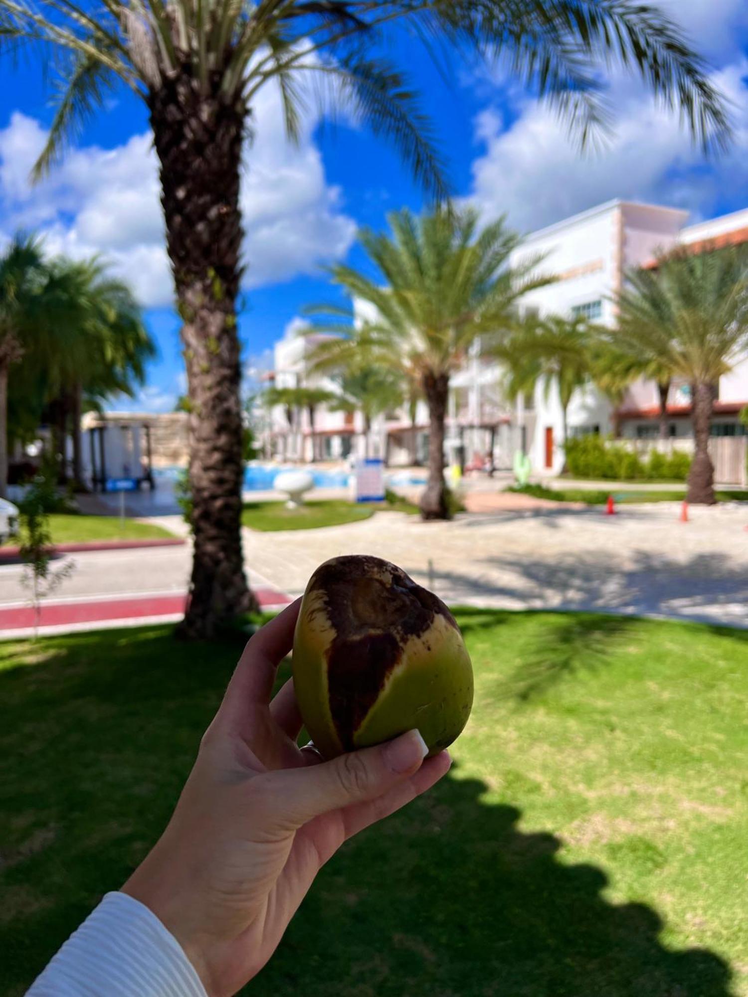 Tanama Hotel Punta Cana Exteriér fotografie